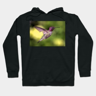 Anna's Hummingbird in Flight Hoodie